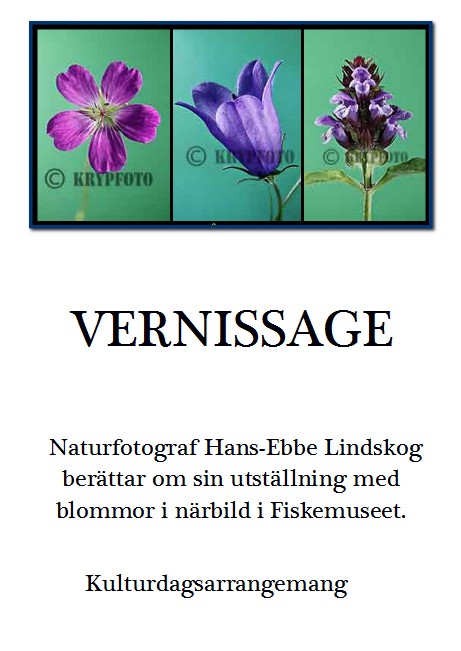 Vernissage.jpg